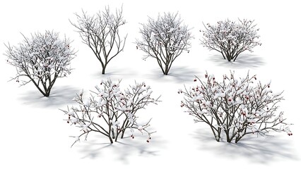 Obraz premium Set of Snow-Covered Winter Bushes, trees Isolated on White