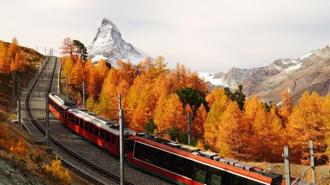 Gornergrat Railway Train, Matterhorn Mountain and Yellow Golden Larches in Autumn. Fall Colors. Swiss Alps. Zermatt, Valais, Switzerland