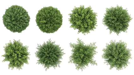 Collection of different types of green bushes seen from above, useful for landscaping and design projects