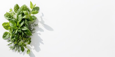 Obraz premium Fresh vegetable with green leaves and herbs used as a background for text layout, Earth Day