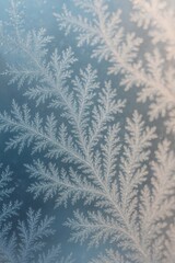 Serene winter background with intricate ice crystal frost patterns resembling delicate fern leaves on a soft blue gradient