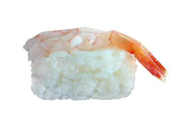 Raw shrimp nigiri sushi, japanese food isolated on white or transparent background, png cut out