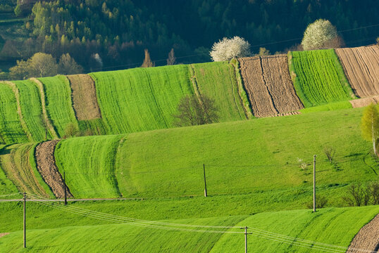 Aerial view of vivid green fields striped with earthy brown tones create a patchwork quilt across the rolling hills, Podpolanie, Hrinova, Banska Bystrica Region, Slovakia.