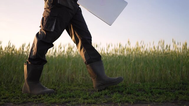 Person walking in field carrying laptop with boot stepping on grass beside crop row showing agriculture and rural lifestyle and technology use by farmer under soft evening light and harvest work