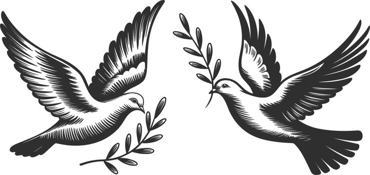 Two flying doves carrying olive branches, symbol of peace, purity, vintage engraved vector illustration sketch