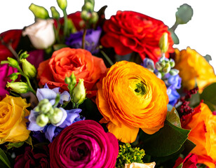 US capitol building with out sky. Transparency PNG.  