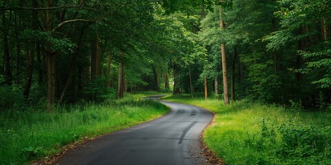 Fototapeta premium Dark forest road leading into dense trees, creating a moody background for text layouts, Earth Day