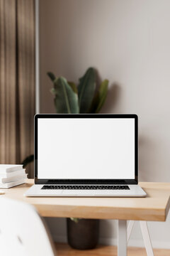 3D laptop on white desk with plant background
