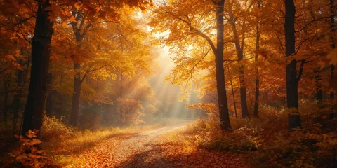 Papier peint photo Marron Pathway through vibrant autumn forest with foliage, natural setting, Earth Day  © vxnaghiyev