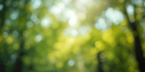 Obraz premium Soft green bokeh backdrop featuring nature-inspired textures for creative backgrounds and artistic layouts