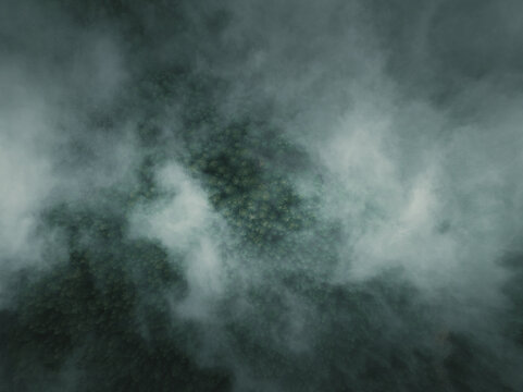 Aerial view of dense fog shrouding the landscape, obscuring details in a mysterious, ethereal atmosphere, Mount Etna, Sicilia, Italy.