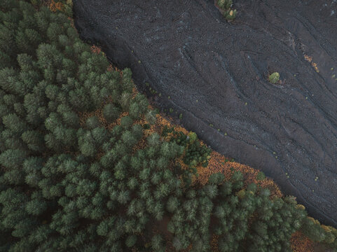 Aerial view of a stark contrast where the dark volcanic rock meets the green woodland, a stunning demonstration of nature's power, Mount Etna, Sicilia, Italy.
