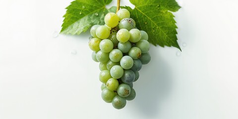 Fototapeta premium Green and blue grape bunch with foliage, ideal for background or UI design, Earth Day