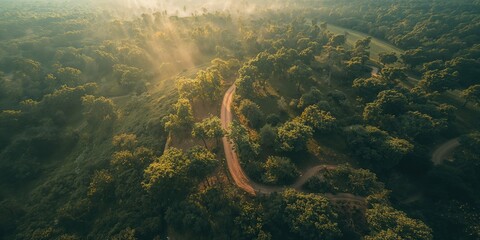 Fototapeta premium Bird's-eye perspective of countryside with dirt paths and wooded areas, highlighting landscape conservation