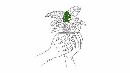Sketch of hands holding a potted Monstera plant, symbolizing growth and nurture