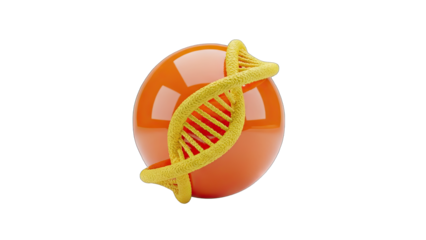 Golden DNA Helix Symbol Rests On A Glossy Orange Sphere Against A Transparent Background With Subtle Lighting And A Futuristic Scientific Concept