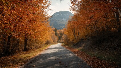 Fototapeta premium Fallen leaves and trees lining a non-asphalt street during autumn, mountain and forest in the distance, seasonal change
