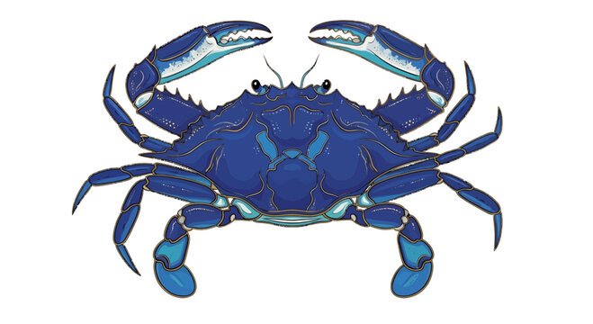 Detailed blue crab illustration with intricate patterns on a white background
