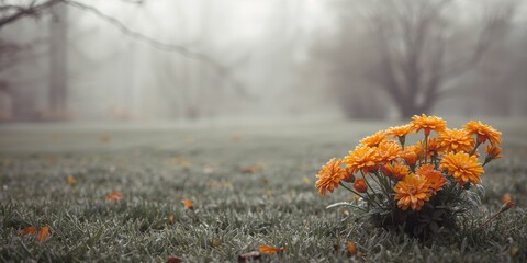 Fototapeta premium Late autumn garden scene with calendula flowers beneath a layer of frost, highlighting seasonal transition