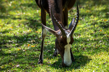 Ein #tag im Etosha Nationalpark 