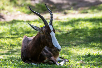 Ein #tag im Etosha Nationalpark 