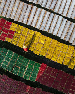 Aerial view of colourful rectangles of red, yellow, green, and white drying under the sun, creating a vibrant mosaic-like pattern, Tay Ninh, Tay Ninh, Vietnam.