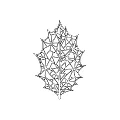 Abstract geometric holly leaf outline vector illustration