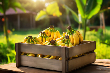 bananas yellow fresh in wooden crate on blurred background