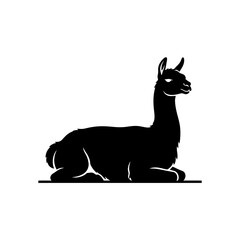 Obraz premium Llama silhouette slow step forward grounded vector illustration