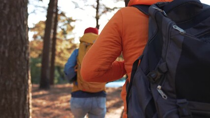 Hiking with backpack through sunlit forest, hiker and companion walk trail past tall tree trunk as sunlight and flare illuminate leaf litter and moss, nature outdoor exploration in calm woodland