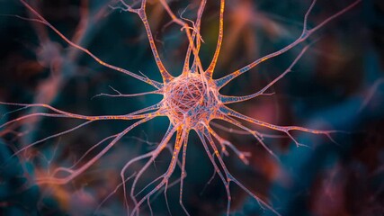 3D neural animation showing a firing neuron and dynamic synapse activity