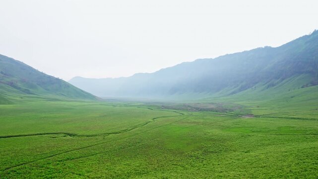 Aerial drone footage of the green valley in the caldeira of Bromo, Java, Indonesia