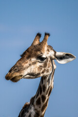 Ein #tag im Etosha Nationalpark 
