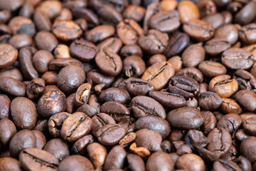 Bulk roasted beans, Large scale industrial coffee roasting visuals, Extensive presentation of roasted coffee beans indicating commercial production and bulk supply methods