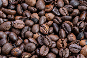 Quality beans with traceable origin, Artisanal coffee featuring ecofriendly sourcing methods, Specialty beans showcasing traceability through ecoconscious production