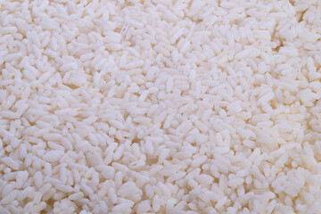 Macro boiled rice grains ready for recipe prep or pantry stock neutral lighting highlights moisture and uniform grain alignment high detail for commercial food imagery