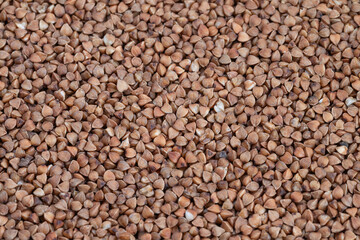 Prepacked buckwheat in large volumes, Massproduced buckwheat with consistent size and color, Abundant supply of uniformsized buckwheat suitable for distribution and sale