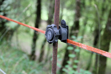 Isolateur pour fil et cordon de clôture électrique