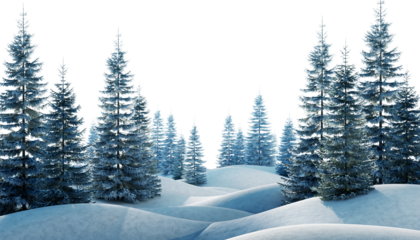 Winter snow forest landscape with pine trees on white background PNG