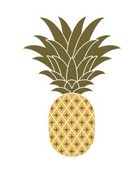 Stylized tropical fruit pineapple with decorative pattern design