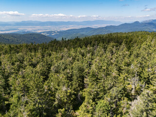 Aerial view of a dense forest canopy stretching towards distant, hazy mountain ranges under a bright blue sky, Flochova, Zilina Region, Slovakia.