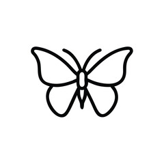 butterfly, monarch, insect, nature, wings, delicate, symmetry, flight, wildlife, garden,