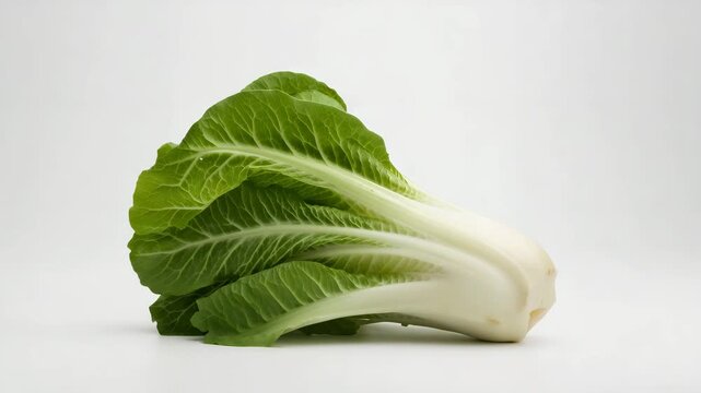 Fresh bok choy rotating on white background studio close-up for food and cooking