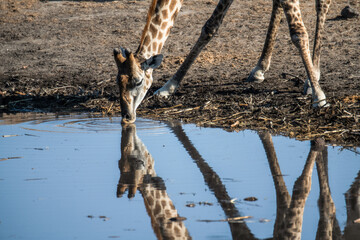 Ein #tag im Etosha Nationalpark 