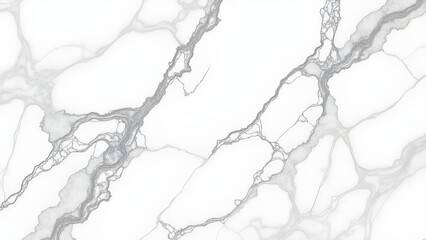 Obraz premium Capturing the Elegance of White Marble Texture