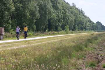 Radfahrer auf einem befestigten Weg durch das Naturschutzgebiet Bourtanger Moor bei Twist ! Emsland, Niedersachsen, Deutschland