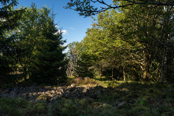 Der Kreuzberg - der Heilige Berg der Franken - im Abendlicht, Biosphärenreservat Rhön, Unterfranken, Franken, Bayern, Deutschland
