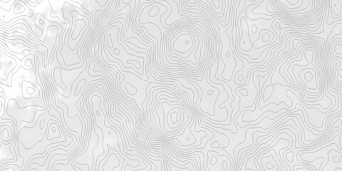 White topography topology vector white background fresh contour map texture. white seamless pattern Abstract background with a wave Topography and geography map grid abstract backdrop. © Mr Jishana