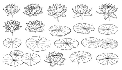  Collection Meticulously Drawn Water