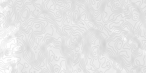White topography topology vector white background fresh contour map texture. white seamless pattern Abstract background with a wave Topography and geography map grid abstract backdrop.